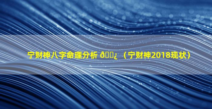 宁财神八字命理分析 🌿 （宁财神2018现状）